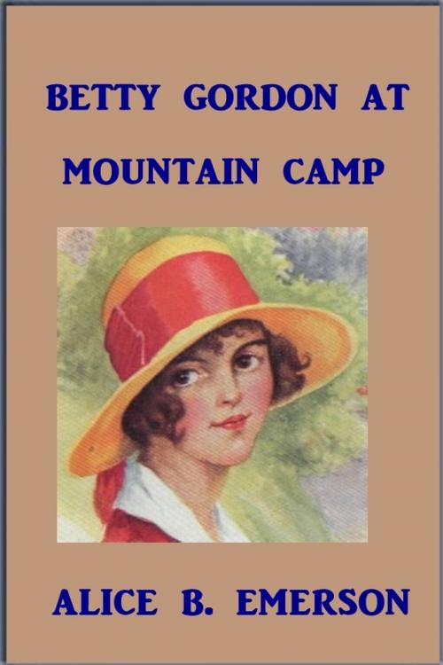 Cover of the book Betty Gordon at Mountain Camp by Alice B. Emerson, Green Bird Press