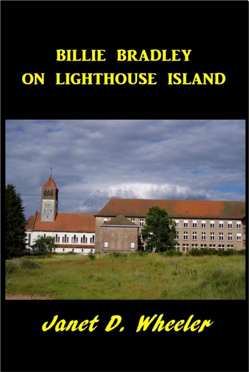 Cover of the book Billie Bradley on Lighthouse Island by Janet D. Wheeler, Green Bird Press