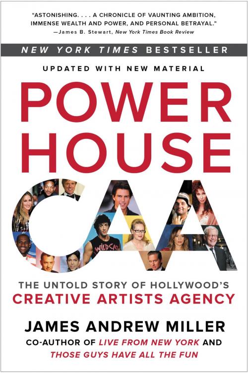 Cover of the book Powerhouse by James Andrew Miller, Custom House