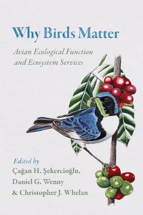 Cover of the book Why Birds Matter by , University of Chicago Press