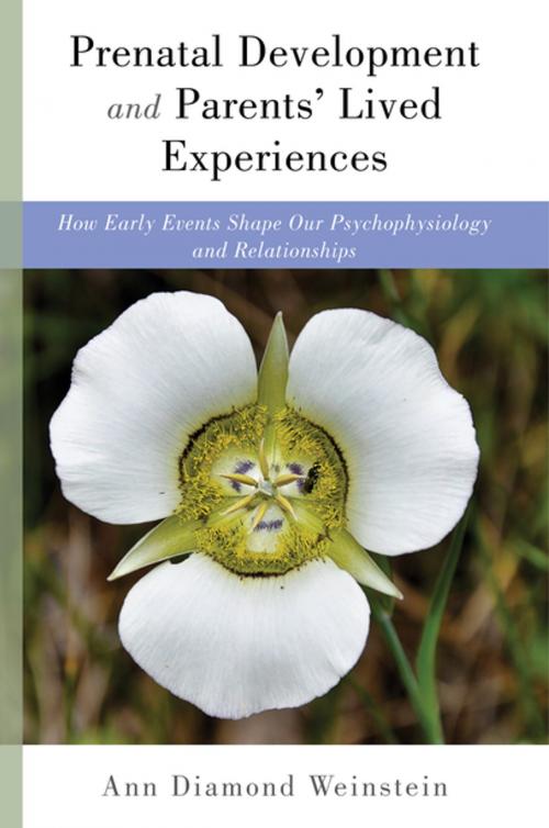 Cover of the book Prenatal Development and Parents' Lived Experiences: How Early Events Shape Our Psychophysiology and Relationships (Norton Series on Interpersonal Neurobiology) by Ann Diamond Weinstein PhD, W. W. Norton & Company