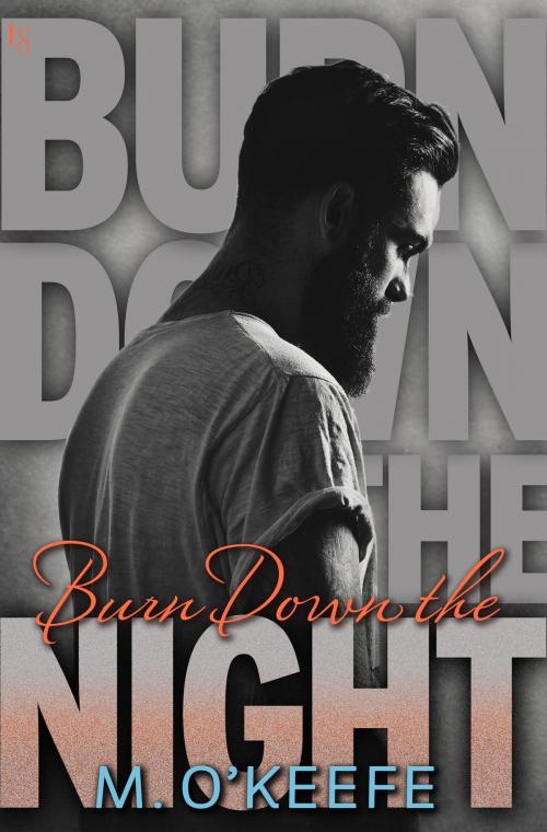 Cover of the book Burn Down the Night by M. O'Keefe, Random House Publishing Group