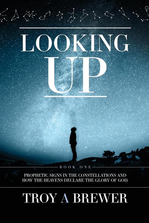 Cover of the book Looking Up by Troy A Brewer, Open Door Fellowship Ministries