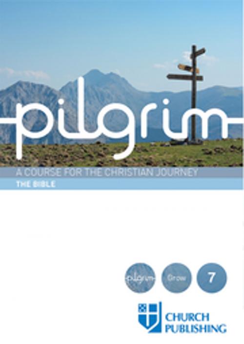 Cover of the book Pilgrim by Stephen Cottrell, Steven Croft, Church Publishing Inc.