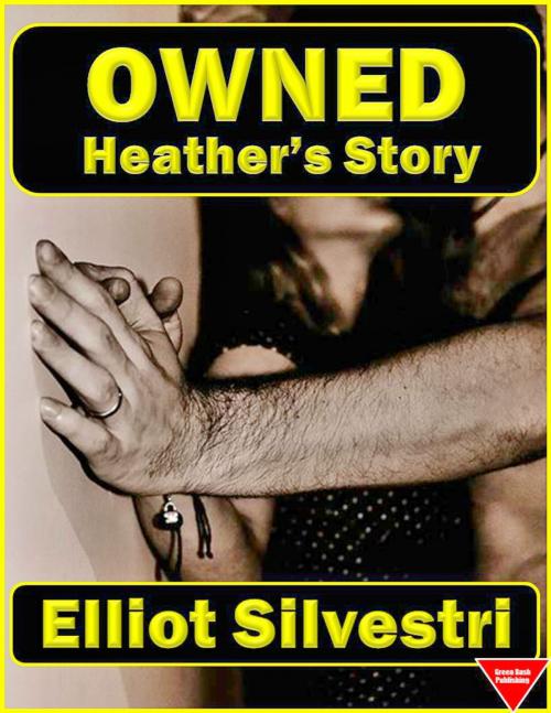 Cover of the book Owned: Heather's Story by Elliot Silvestri, Elliot Silvestri