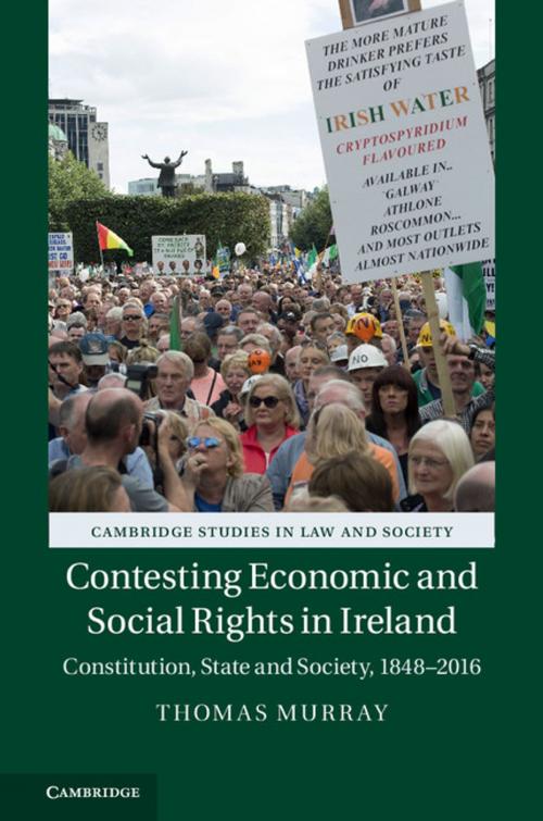 Cover of the book Contesting Economic and Social Rights in Ireland by Thomas Murray, Cambridge University Press