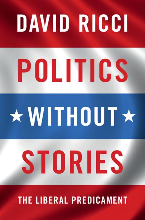 Cover of the book Politics without Stories by David Ricci, Cambridge University Press