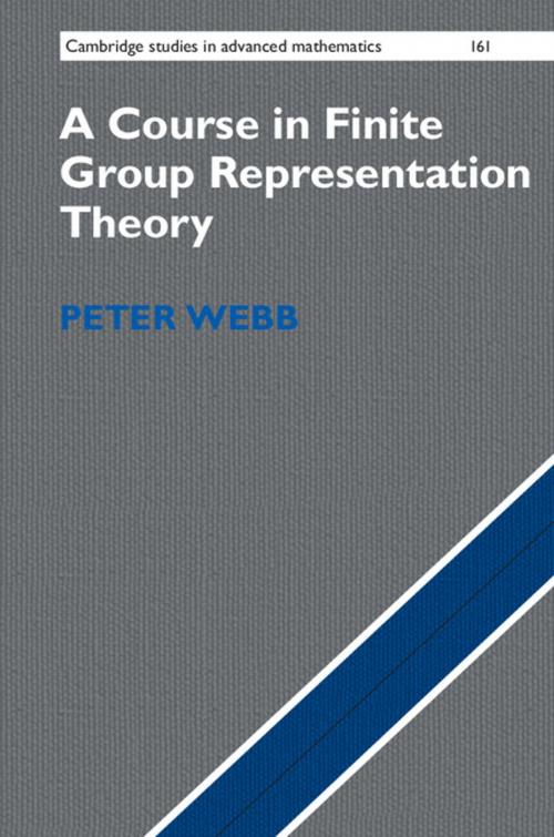 Cover of the book A Course in Finite Group Representation Theory by Peter Webb, Cambridge University Press