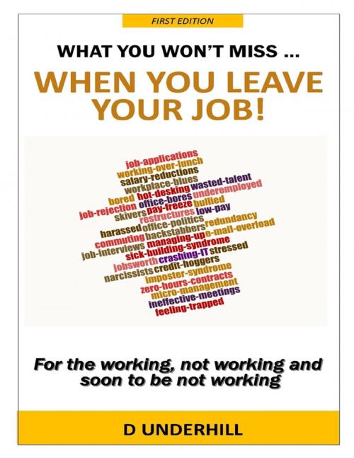 Cover of the book What You Won't Miss .... When You Leave Your Job! by D Underhill, Lulu.com