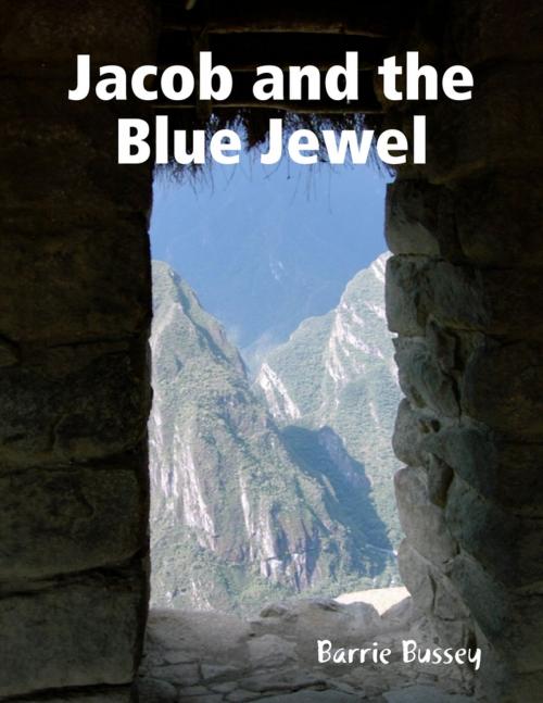 Cover of the book Jacob and the Blue Jewel by Barrie Bussey, Lulu.com