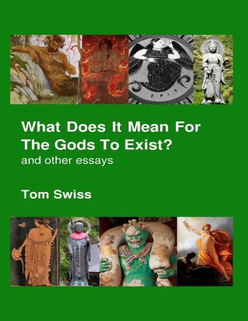 Cover of the book What Does It Mean for the Gods to Exist?: And Other Essays by Tom Swiss, Lulu.com