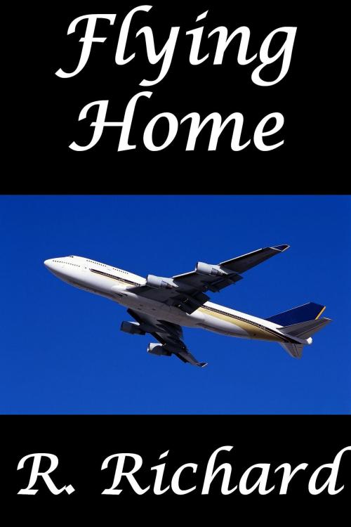 Cover of the book Flying Home by R. Richard, R. Richard