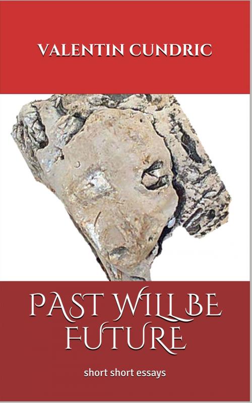 Cover of the book Past Will Be Future by Valentin Cundric, Maggy Diak