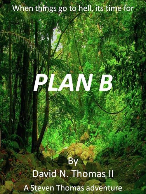 Cover of the book Plan B by David N. Thomas II, David N. Thomas II