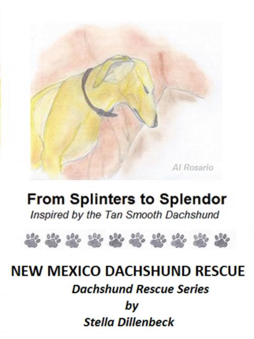 Cover of the book From Splinters to Splendor by New Mexico Dachshund Rescue, New Mexico Dachshund Rescue