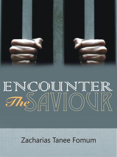 Cover of the book Encounter The Saviour! by Zacharias Tanee Fomum, ZTF Books Online