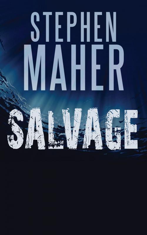 Cover of the book Salvage by Stephen Maher, Dundurn