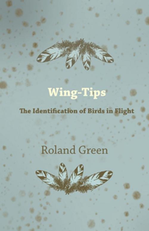 Cover of the book Wing-Tips - The Identification of Birds in Flight by Roland Green, Read Books Ltd.