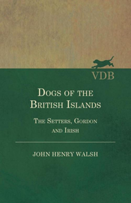 Cover of the book Dogs of the British Islands - The Setters, Gordon and Irish by Stonehenge, Read Books Ltd.