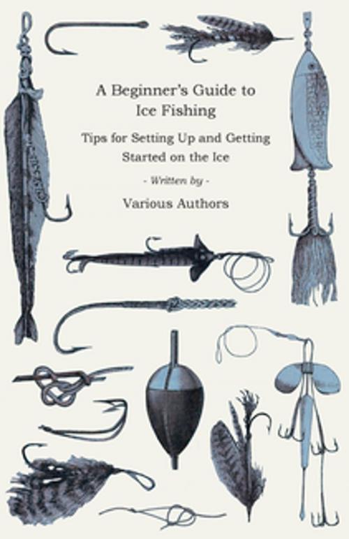 Cover of the book A Beginner's Guide to Ice Fishing - Tips for Setting Up and Getting Started on the Ice - Equipment Needed, Decoys Used, Best Lines to Use, Staying W by Various Authors, Read Books Ltd.