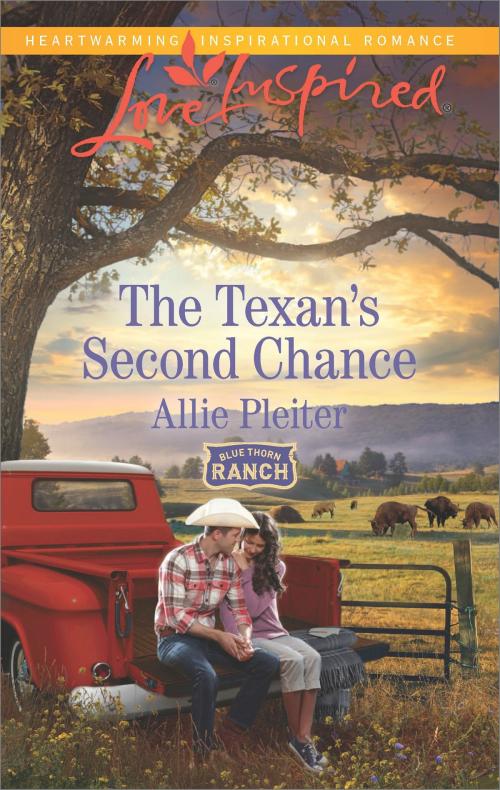 Cover of the book The Texan's Second Chance by Allie Pleiter, Harlequin