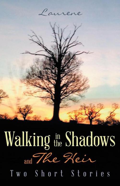 Cover of the book Walking in the Shadows by Laurene, iUniverse