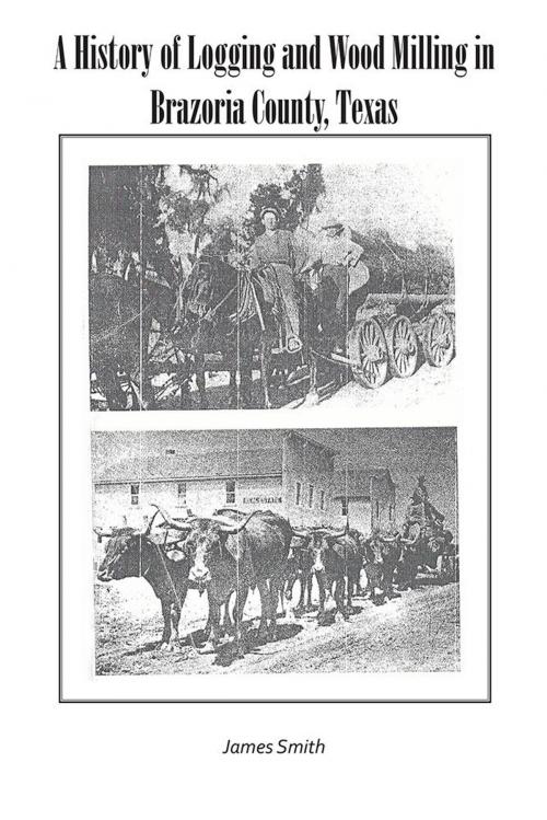 Cover of the book A History of Logging and Wood Milling in Brazoria County, Texas by James Smith, iUniverse