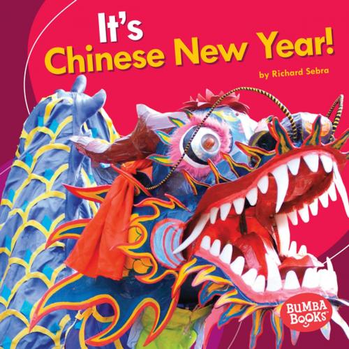 Cover of the book It's Chinese New Year! by Richard Sebra, Lerner Publishing Group