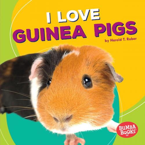 Cover of the book I Love Guinea Pigs by Harold Rober, Lerner Publishing Group