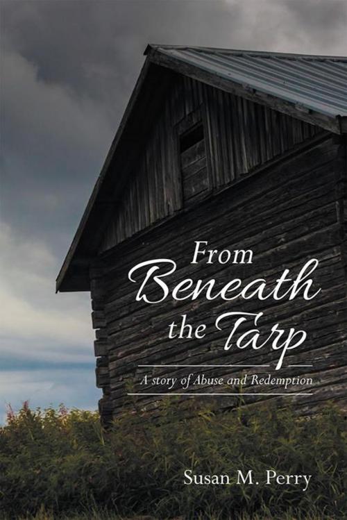 Cover of the book From Beneath the Tarp by Susan M. Perry, WestBow Press