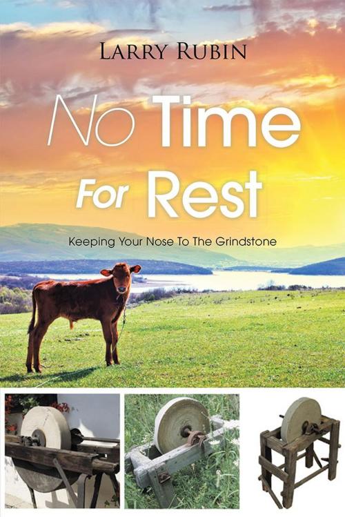 Cover of the book No Time for Rest by Larry Rubin, WestBow Press