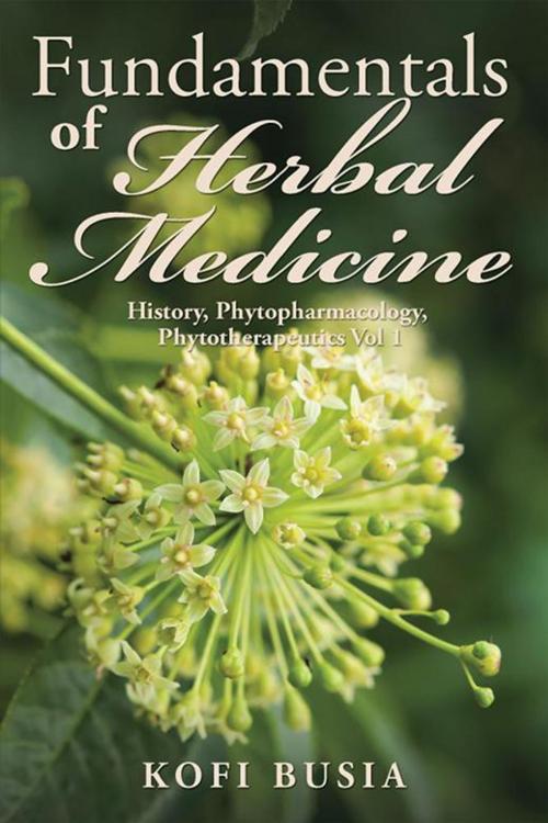 Cover of the book Fundamentals of Herbal Medicine by Kofi Busia, Xlibris UK