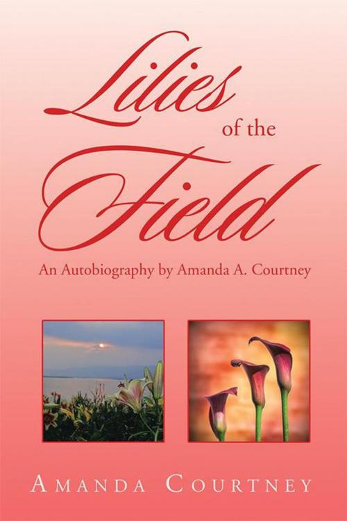 Cover of the book Lilies of the Field by Amanda Courtney, Xlibris US