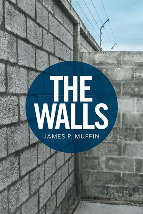 Cover of the book The Walls by James P. Muffin, Xlibris US