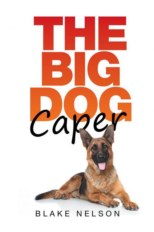 Cover of the book The Big Dog Caper by Blake Nelson, Xlibris US