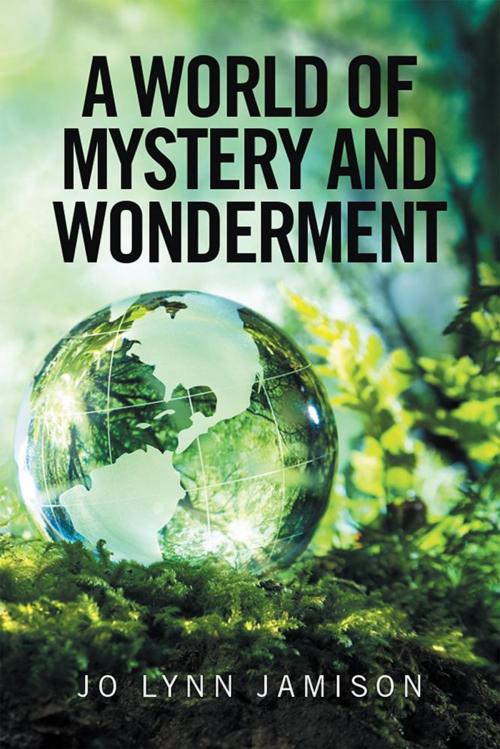 Cover of the book A World of Mystery and Wonderment by Jo Lynn Jamison, Xlibris US