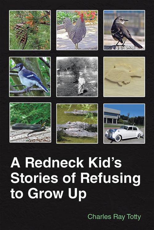 Cover of the book A Redneck Kid’S Stories of Refusing to Grow Up by Charles Ray Totty, Xlibris US