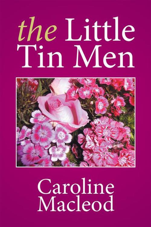 Cover of the book The Little Tin Men by Caroline Macleod, Xlibris UK