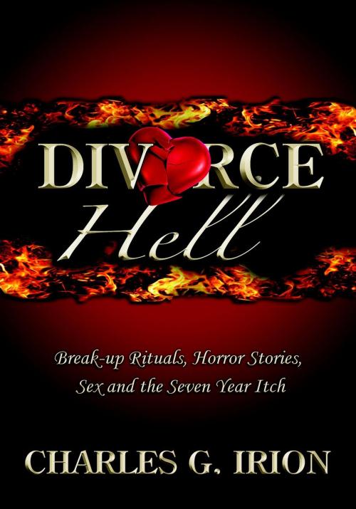 Cover of the book Divorce Hell by Charles Irion, Charles Irion