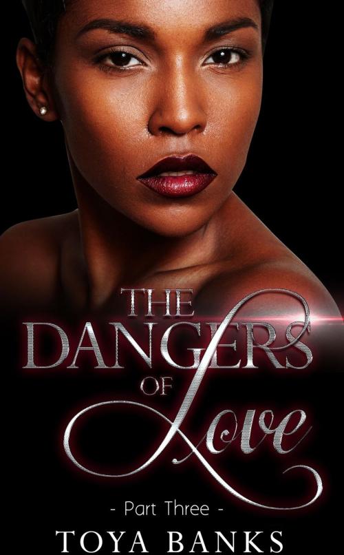 Cover of the book The Dangers Of Love 3 by Toya Banks, Mahogany Publications