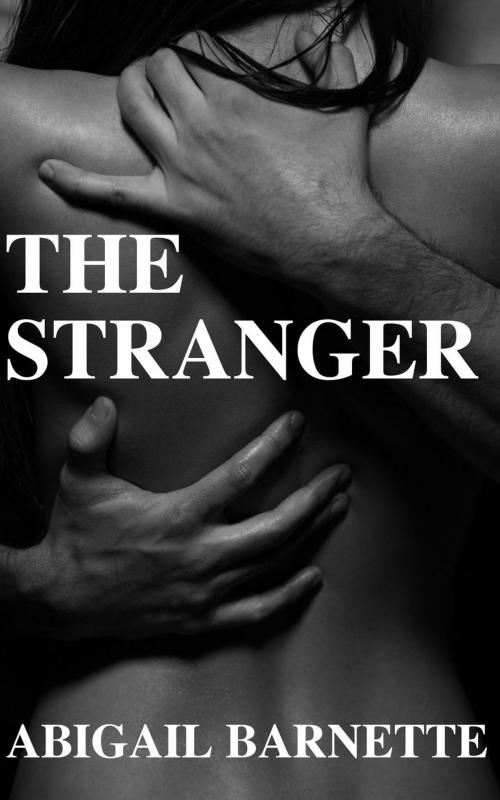 Cover of the book The Stranger by Abigail Barnette, Abigail Barnette