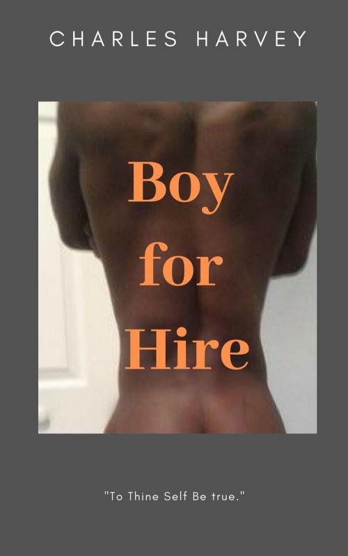 Cover of the book Boy For Hire by Charles Harvey, Wes Writers and Publishers