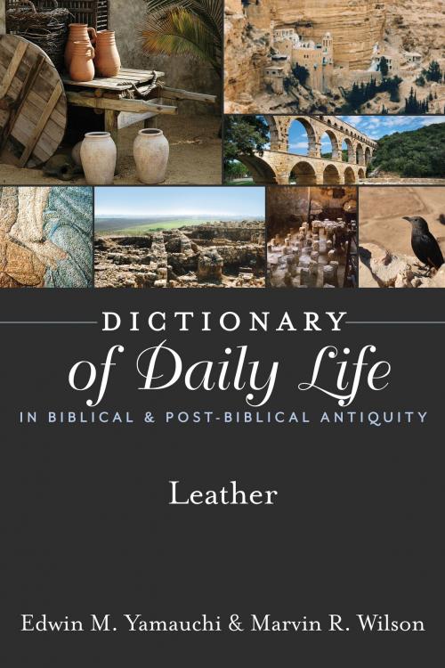 Cover of the book Dictionary of Daily Life in Biblical & Post-Biblical Antiquity: Leather by Yamauchi, Edwin M, Wilson, Marvin R., Hendrickson Publishers