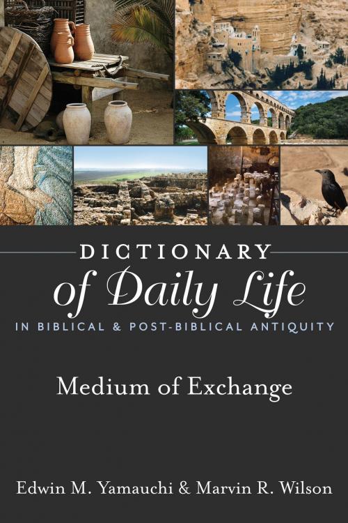 Cover of the book Dictionary of Daily Life in Biblical & Post-Biblical Antiquity: Medium of Exchange by Yamauchi, Edwin M, Wilson, Marvin R., Hendrickson Publishers