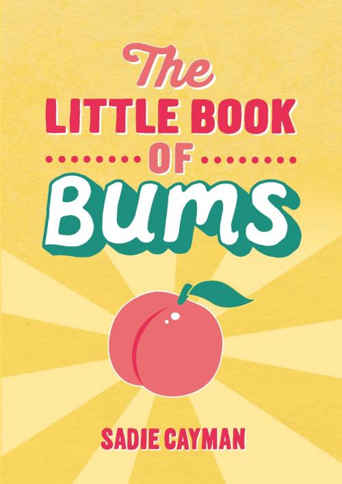 Cover of the book The Little Book of Bums by Sadie Cayman, Summersdale Publishers Ltd