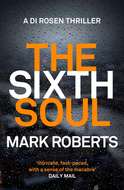 Cover of the book The Sixth Soul by Mark Roberts, Head of Zeus