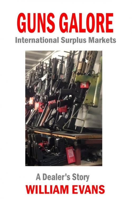 Cover of the book Guns Galore: International Surplus Markets by William Evans, Small Arms Press