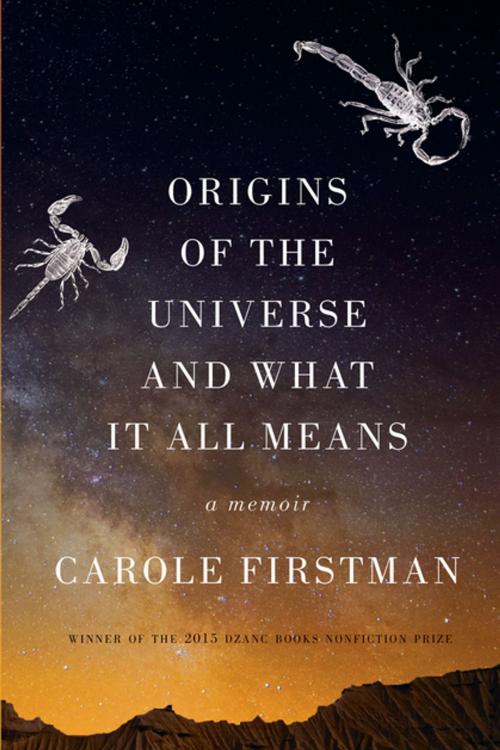 Cover of the book Origins of the Universe and What It All Means: A Memoir by Carole Firstman, Dzanc Books