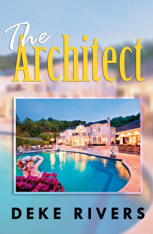Cover of the book The Architect by Deke Rivers, BookVenture
