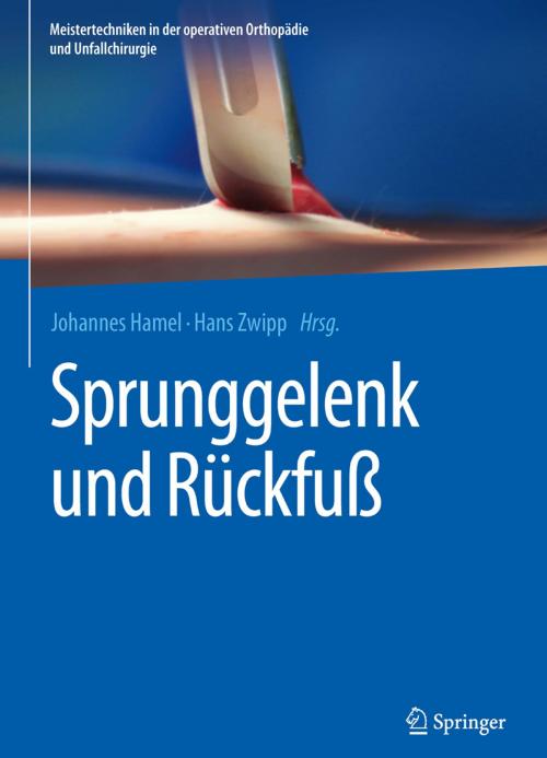 Cover of the book Sprunggelenk und Rückfuß by , Springer Berlin Heidelberg